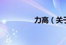 力高（關(guān)于力高的介紹）
