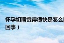 懷孕初期餓得很快是怎么回事（懷孕初期餓的特別快是怎么回事）