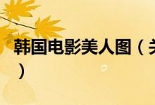 韓國電影美人圖（關于韓國電影美人圖的介紹）