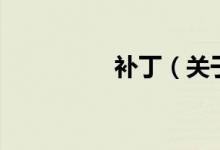 補?。P(guān)于補丁的介紹）