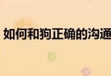 如何和狗正確的溝通（和狗正確的溝通方法）