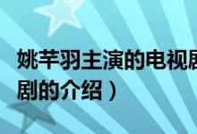 姚芊羽主演的電視?。P(guān)于姚芊羽主演的電視劇的介紹）