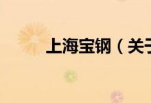 上海寶鋼（關(guān)于上海寶鋼的介紹）