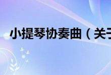小提琴協(xié)奏曲（關(guān)于小提琴協(xié)奏曲的介紹）