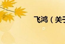 飛鴻（關(guān)于飛鴻的介紹）