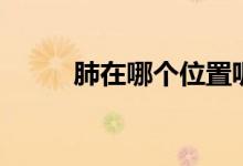 肺在哪個位置呢（肺在哪個位置）