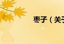 棗子（關于棗子的介紹）