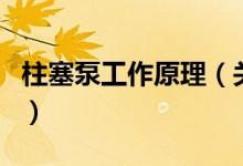 柱塞泵工作原理（關(guān)于柱塞泵工作原理的介紹）