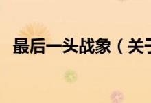 最后一頭戰(zhàn)象（關于最后一頭戰(zhàn)象的介紹）