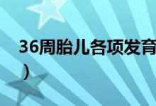 36周胎兒各項(xiàng)發(fā)育標(biāo)準(zhǔn)（36周胎兒發(fā)育標(biāo)準(zhǔn)）