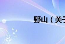 野山（關(guān)于野山的介紹）