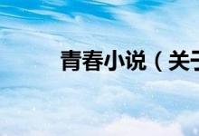 青春小說（關(guān)于青春小說的介紹）