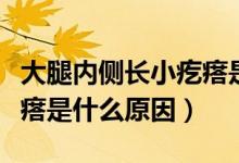 大腿內(nèi)側(cè)長(zhǎng)小疙瘩是怎么回事（大腿內(nèi)側(cè)長(zhǎng)疙瘩是什么原因）