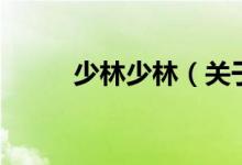 少林少林（關(guān)于少林少林的介紹）