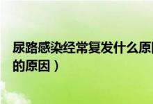 尿路感染經(jīng)常復(fù)發(fā)什么原因?qū)е碌模蚵犯腥疽煌烤蛷?fù)發(fā)的原因）