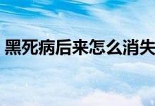 黑死病后來怎么消失的（黑死病怎么消失的）