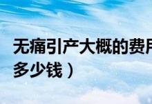 無痛引產(chǎn)大概的費用是多少錢?。o痛引產(chǎn)要多少錢）