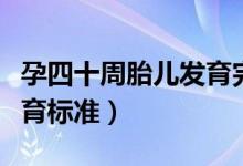 孕四十周胎兒發(fā)育完全了嗎（孕四十周胎兒發(fā)育標準）