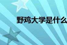 野雞大學是什么意思（有什么特點）
