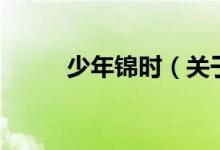 少年錦時(shí)（關(guān)于少年錦時(shí)的介紹）