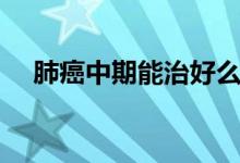 肺癌中期能治好么（肺癌中期能治愈嗎）