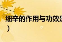 細辛的作用與功效是什么（細辛的作用與功效）