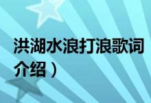 洪湖水浪打浪歌詞（關(guān)于洪湖水浪打浪歌詞的介紹）