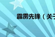 霹靂先鋒（關(guān)于霹靂先鋒的介紹）