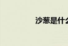 沙蔥是什么（沙蔥簡介）