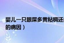 嬰兒一只眼屎多黃粘稠還紅怎么辦（嬰兒一只眼屎多黃粘稠的病因）