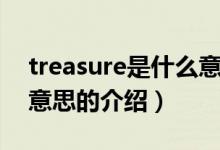 treasure是什么意思（關(guān)于treasure是什么意思的介紹）