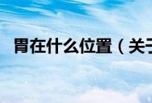 胃在什么位置（關(guān)于胃在什么位置的介紹）