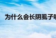 為什么會長陰虱子呢（為什么會長陰虱子）