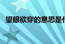 望眼欲穿的意思是什么（望眼欲穿的釋義）