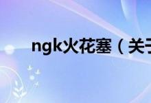 ngk火花塞（關(guān)于ngk火花塞的介紹）