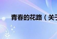 青春的花路（關(guān)于青春的花路的介紹）