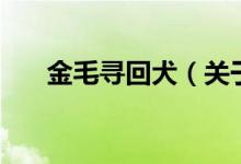 金毛尋回犬（關(guān)于金毛尋回犬的介紹）