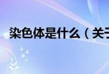 染色體是什么（關(guān)于染色體是什么的介紹）