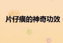 片仔癀的神奇功效（片仔癀有那么神奇嗎）