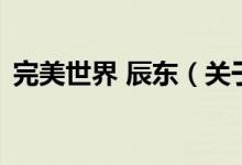 完美世界 辰東（關(guān)于完美世界 辰東的介紹）