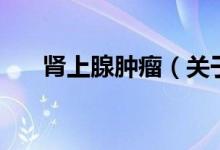 腎上腺腫瘤（關(guān)于腎上腺腫瘤的介紹）
