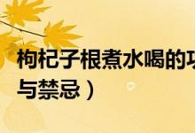枸杞子根煮水喝的功效與禁忌（枸杞子的功效與禁忌）