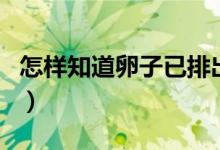 怎樣知道卵子已排出（怎樣知道卵子已經(jīng)排出）