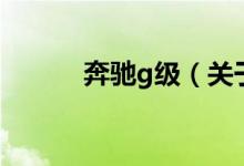 奔馳g級（關(guān)于奔馳g級的介紹）