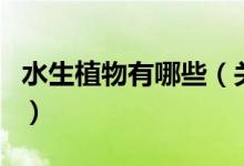 水生植物有哪些（關于水生植物有哪些的介紹）