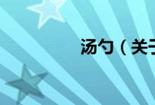 湯勺（關(guān)于湯勺的介紹）