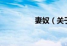妻奴（關(guān)于妻奴的介紹）