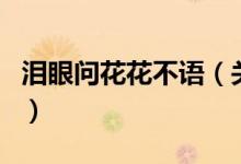 淚眼問花花不語（關(guān)于淚眼問花花不語的介紹）