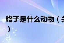 貉子是什么動物（關于貉子是什么動物的介紹）