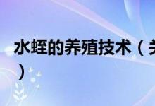 水蛭的養(yǎng)殖技術（關于水蛭的養(yǎng)殖技術的介紹）